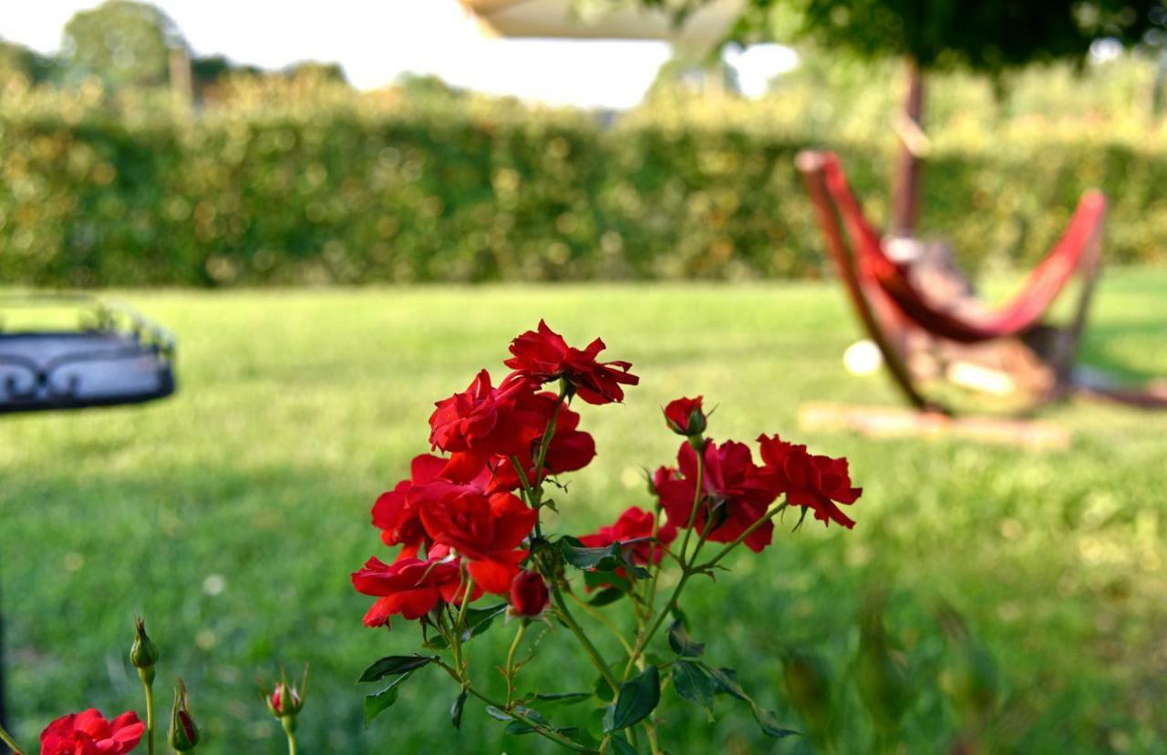 Agriturismo Argaland Parma Exteriér fotografie